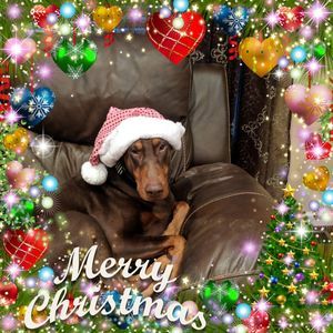 Meet your Posher, Millie